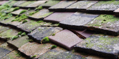 Pednormead End roof repair costs